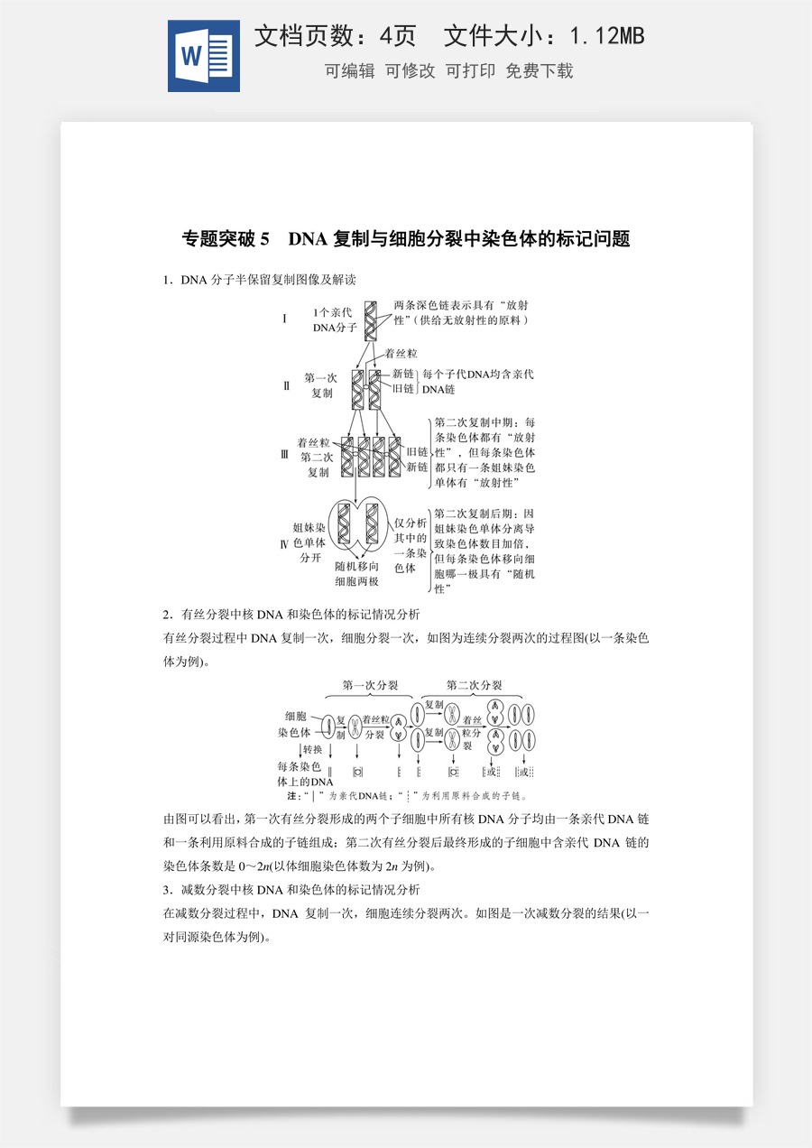 第四单元　细胞的生命历程第四单元　专题突破5　DNA复制与细胞分裂中染色体的标记问题.docx